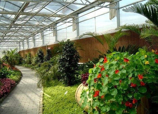 Los claraboyas de los techos para jardines botánicos maximizan la luz natural para que florezca la vida vegetal