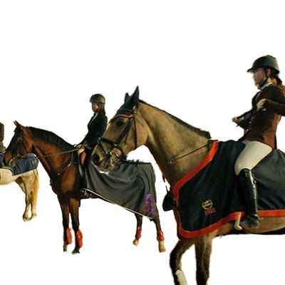 Edificio de estructura de acero ligero para picadero cubierto