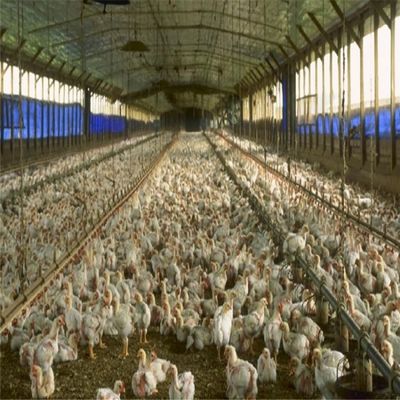 Construcción profesional de estructura de acero prefabricado marco espacial