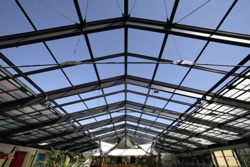 Los claraboyas de los techos para jardines botánicos maximizan la luz natural para que florezca la vida vegetal