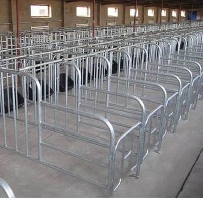 Casita de aves de corral de estructura de acero personalizada con instalación rápida